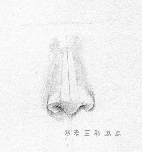 素描石膏像鼻子画法,素描五官鼻子讲解