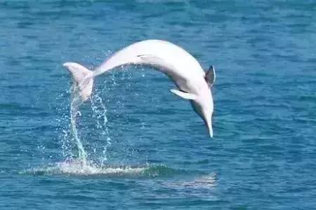 有一个地方，用镜头记录浪漫美景，一个见证幸福的东方爱情海！