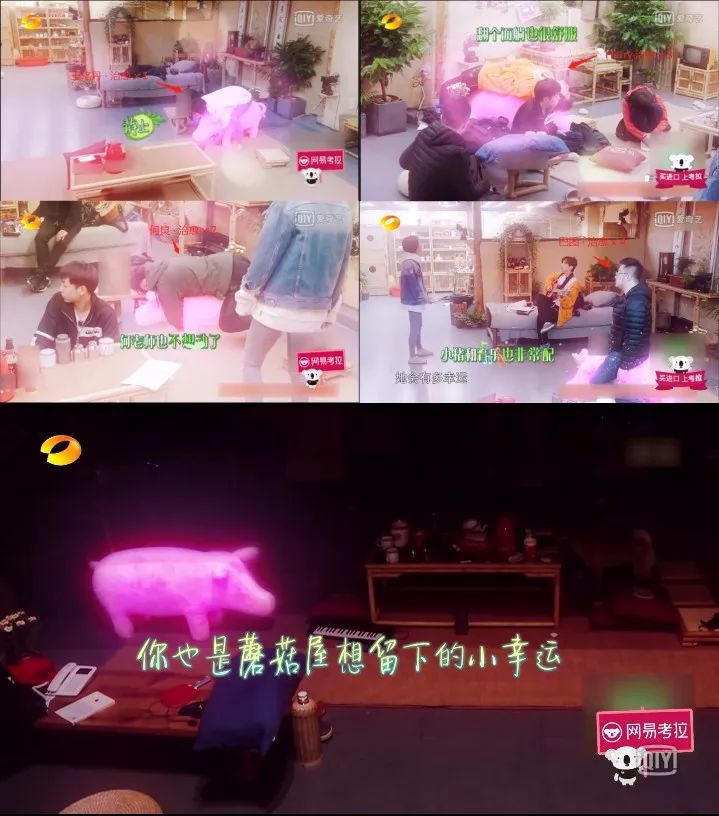 没有中国网友拔不了的草?《向往的生活》才是最大“带货”节目!