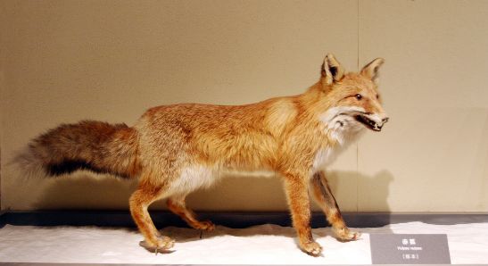 暑假来了走进科普夏令营,暑期公益夏令营的七月之约