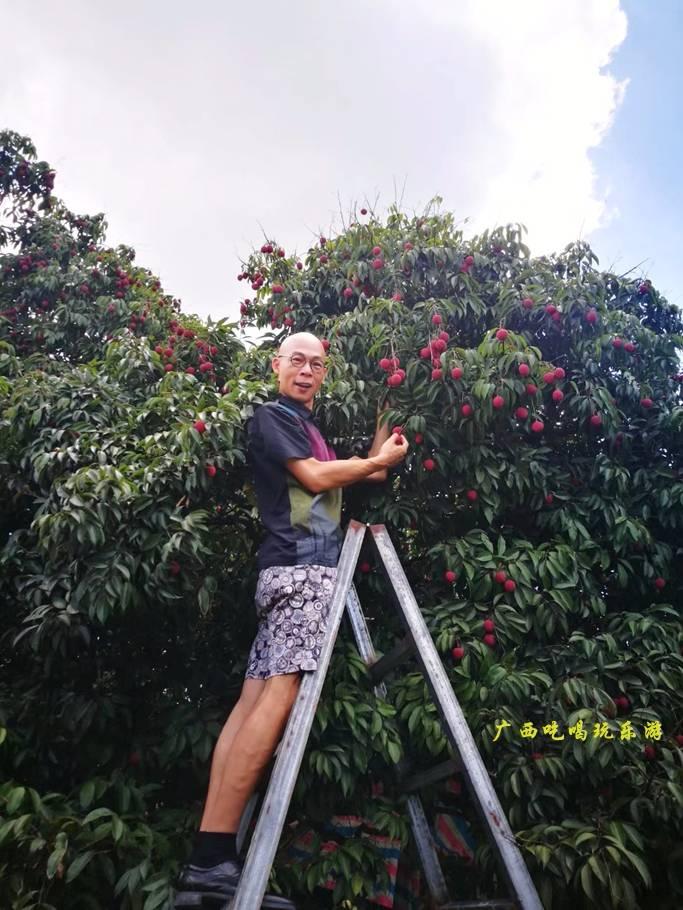 中国桂味荔枝之乡,荔枝之乡美食推荐