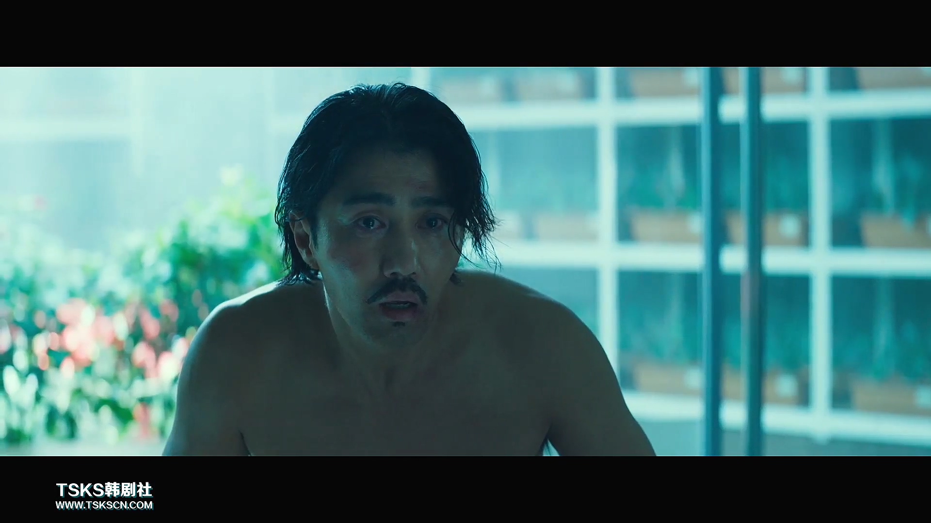 复仇与救赎免费阅读,复仇韩国电影催泪