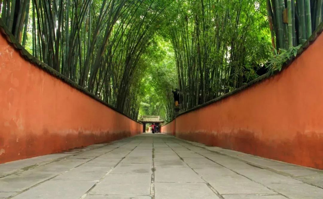 为什么选择读书,为什么选择四川