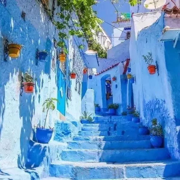 中国普通护照免签落地签一览表,韩国免签护照含金量