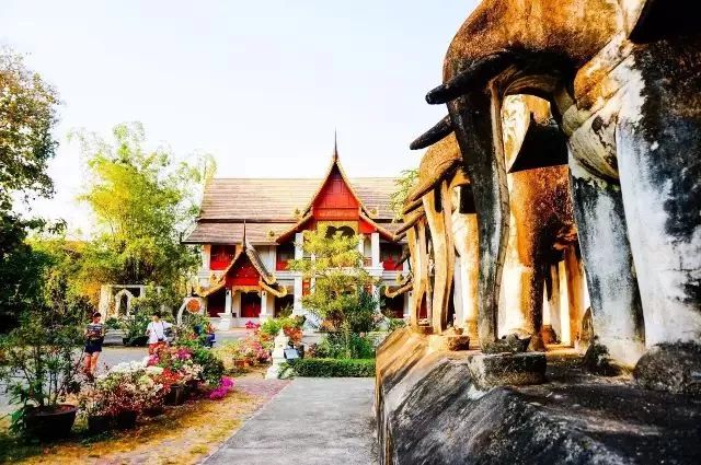 中国普通护照免签落地签一览表,韩国免签护照含金量