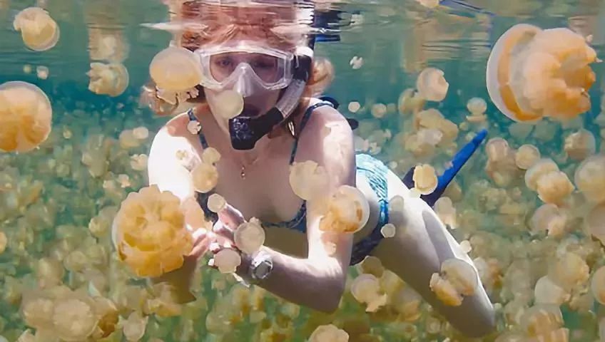 中国普通护照免签落地签一览表,韩国免签护照含金量