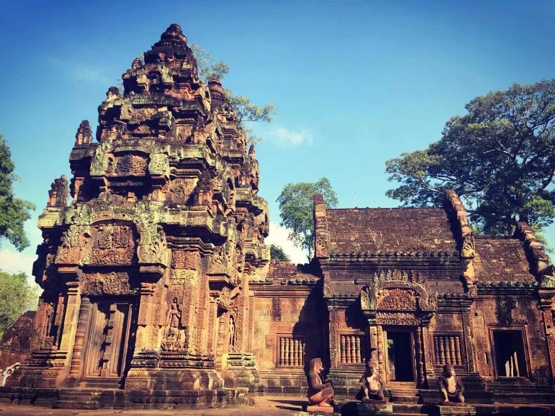 中国普通护照免签落地签一览表,韩国免签护照含金量