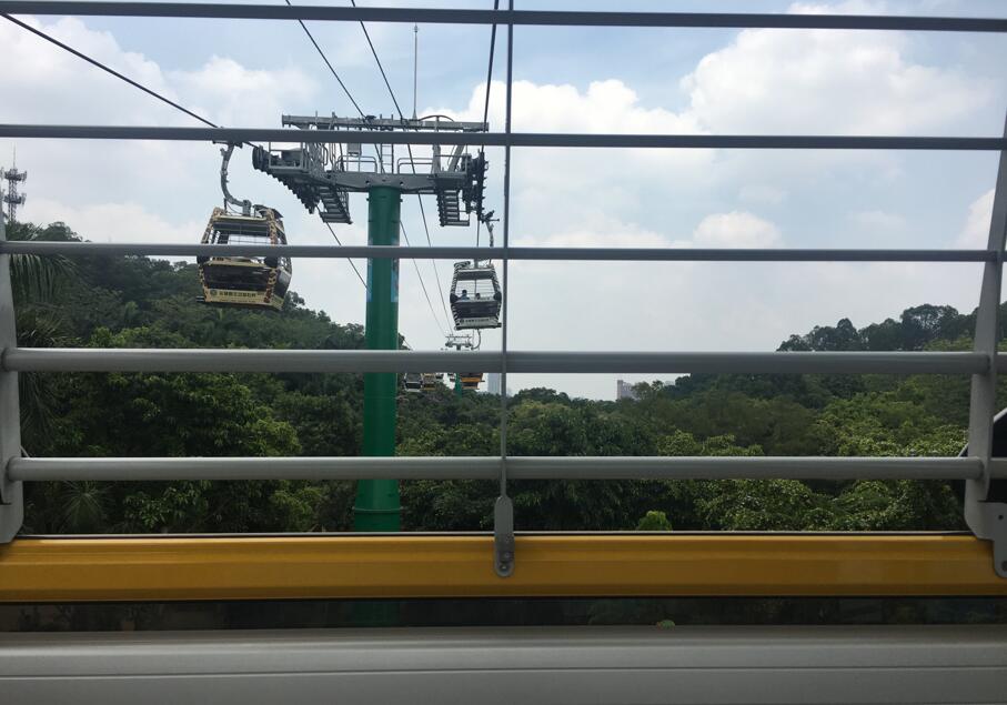 广州长隆野生动物世界旅游攻略,广州长隆野生动物王国攻略