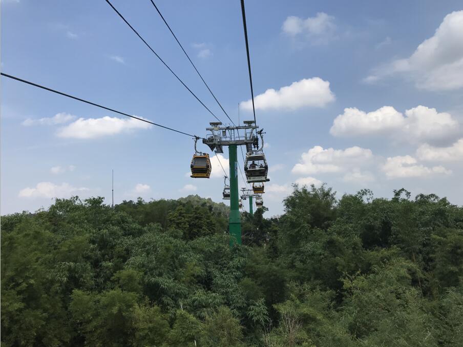 广州长隆野生动物世界旅游攻略,广州长隆野生动物王国攻略