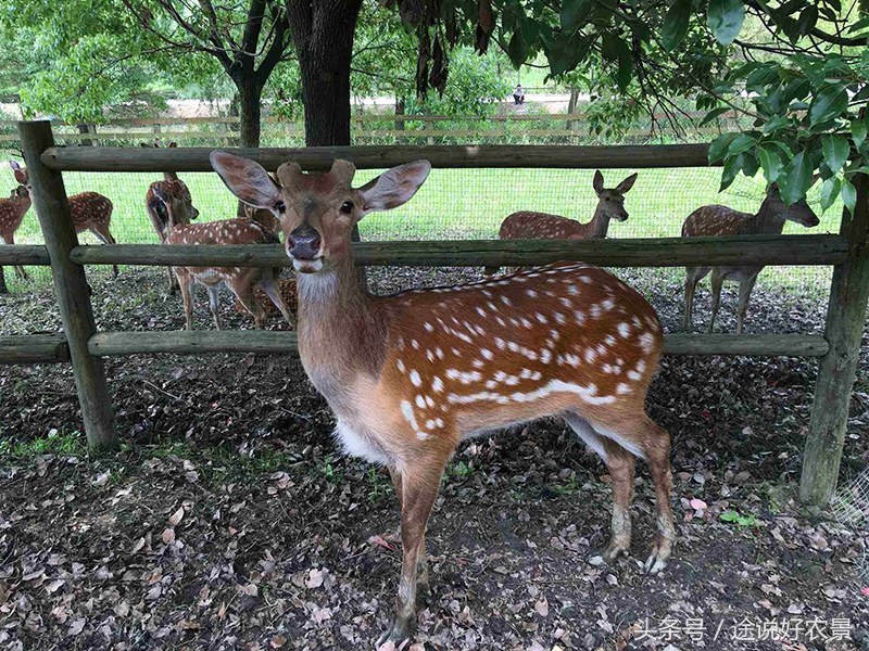 星期九农庄昆山,昆山星期九生态农庄餐厅
