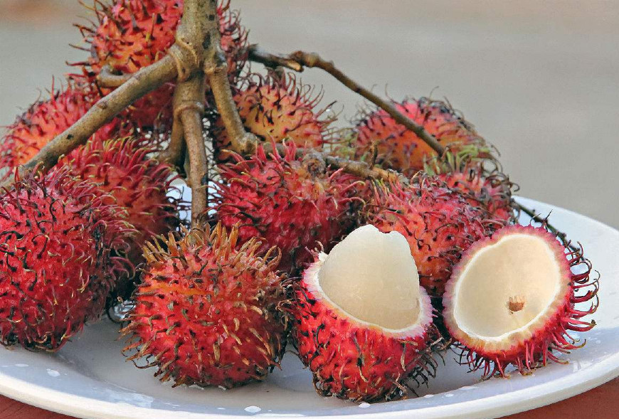 红毛丹营养价值及功效,红毛丹果营养和功效与作用