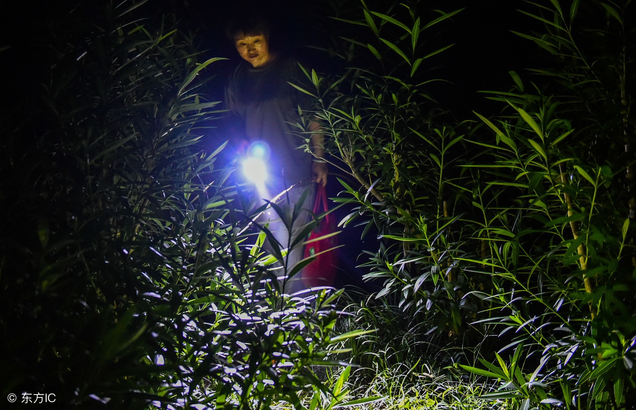 校园宿舍里的灵异事件,宿舍灵异事件真实案例