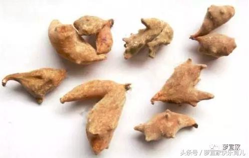 熬夜看球上火喝什么好,熬夜看球伤身又伤神专家为你支招