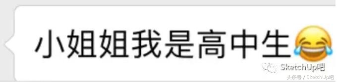 sketchup操作注意事项,sketchup初学者结论与心得总结