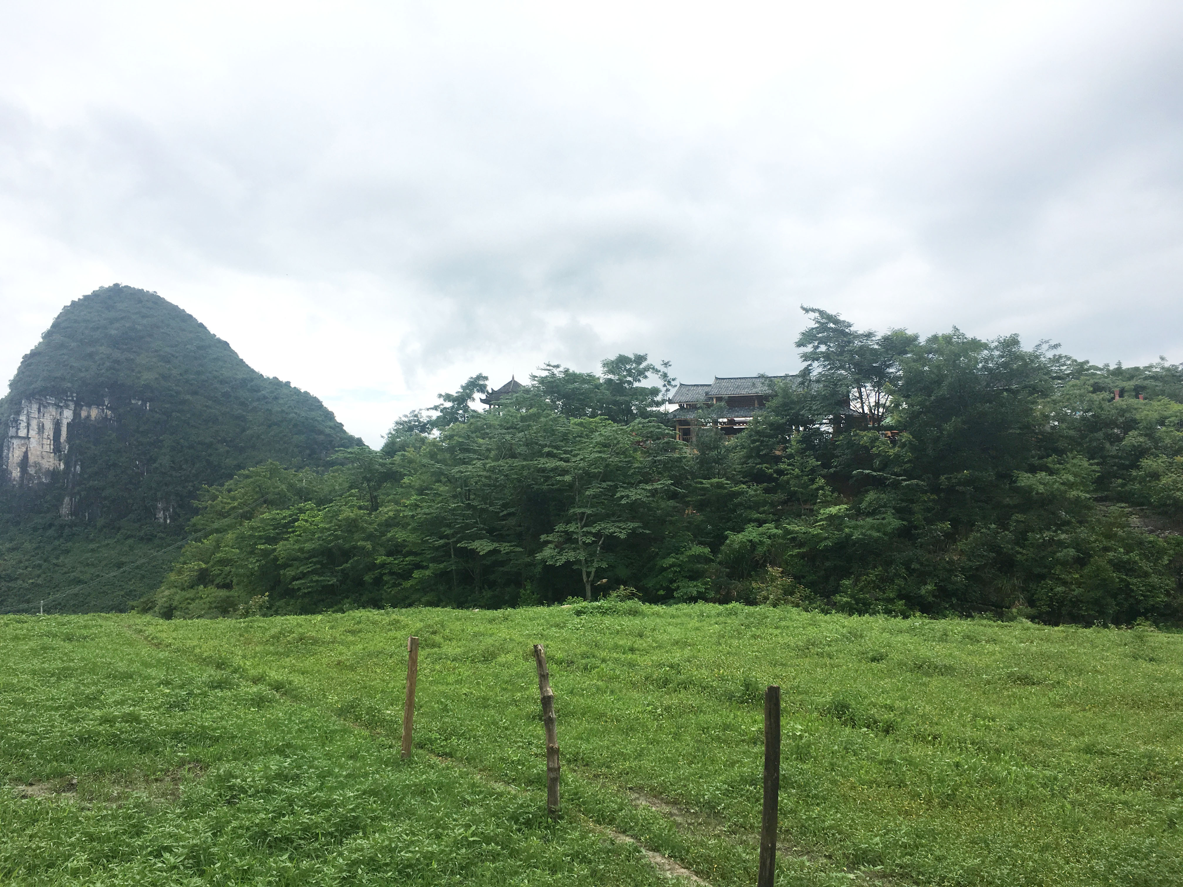 扬梦想之帆重拾迷惘亲情,院线电影《舞动吧!少年》动情演绎