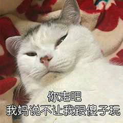 傻子的表情包图片大全,傻子专用表情包图片