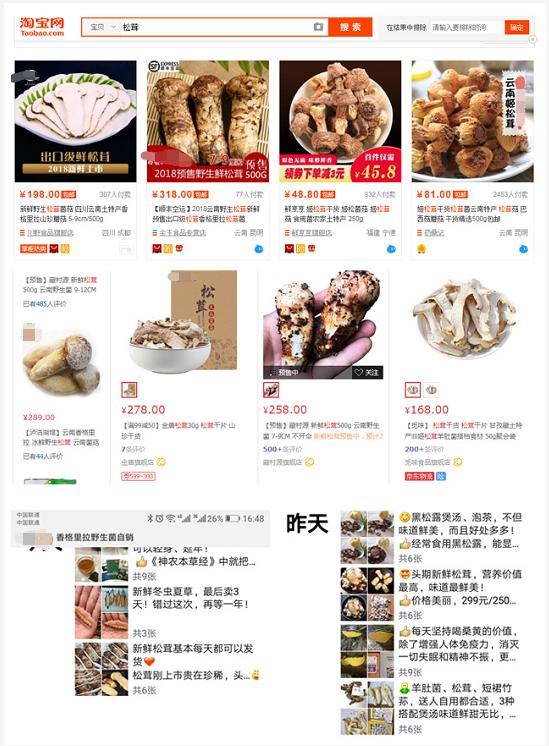 松茸公主夏无敌：松茸小作坊加工？常温分拣？以次充好？NO