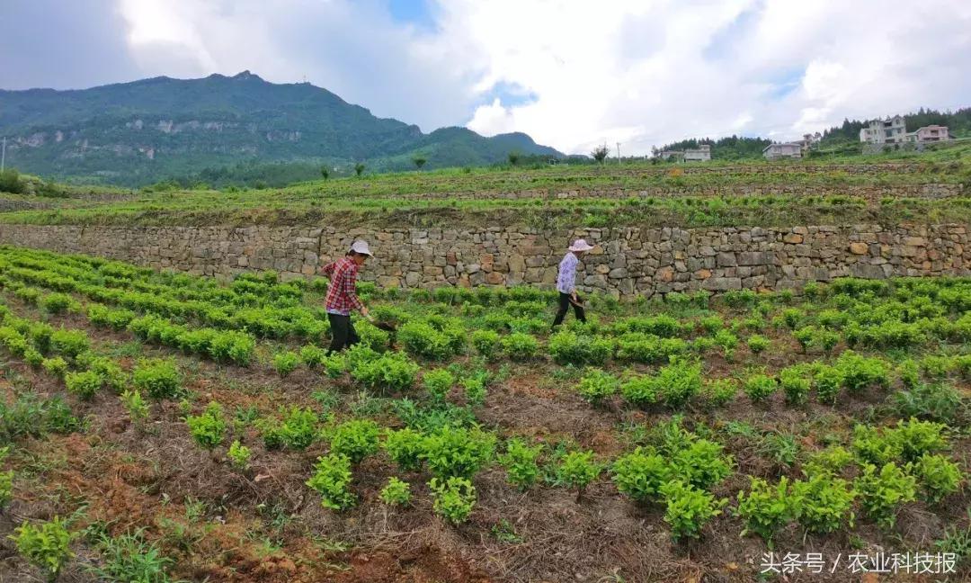 走出杨凌看示范,走出杨凌