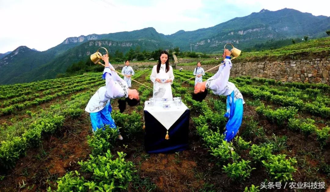 走出杨凌看示范,走出杨凌