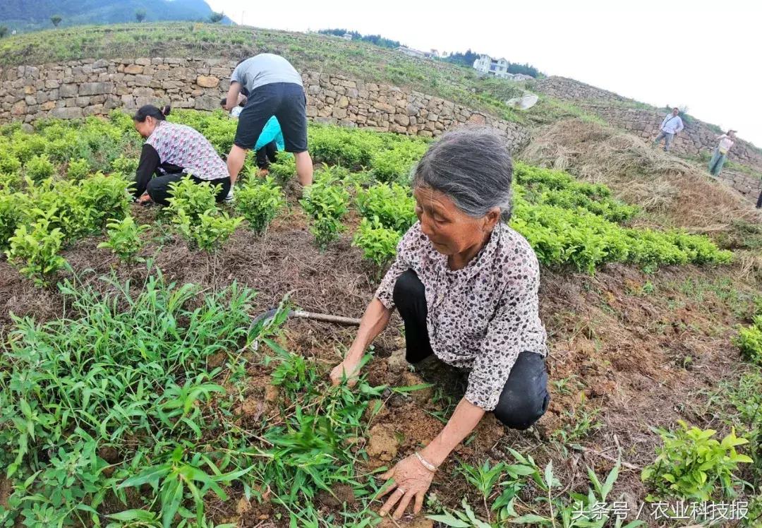 走出杨凌看示范,走出杨凌