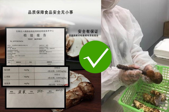 松茸公主夏无敌：松茸小作坊加工？常温分拣？以次充好？NO