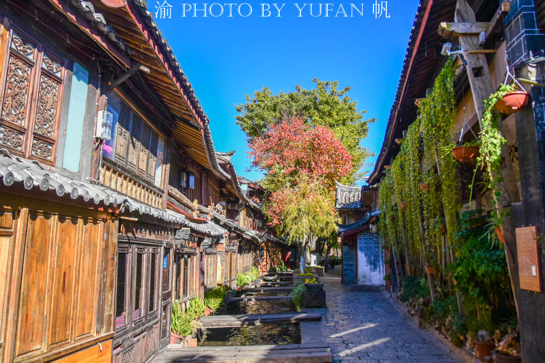 丽江人少的美景,丽江人少景美