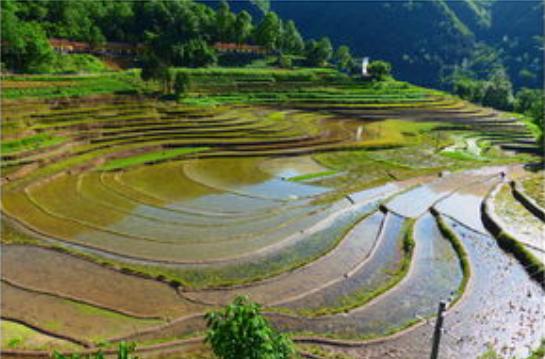 绘画教学形体,地理绘画简单作品图片