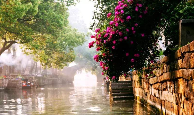 苏州旅游必打卡景点,苏州旅游攻略古镇美食