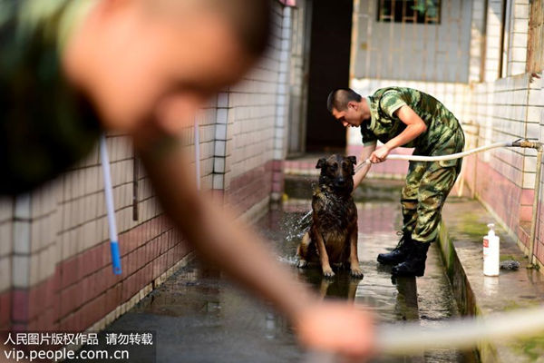 为什么每天洗澡都能搓出污垢,洗澡搓下来的泥越多是代谢越快吗