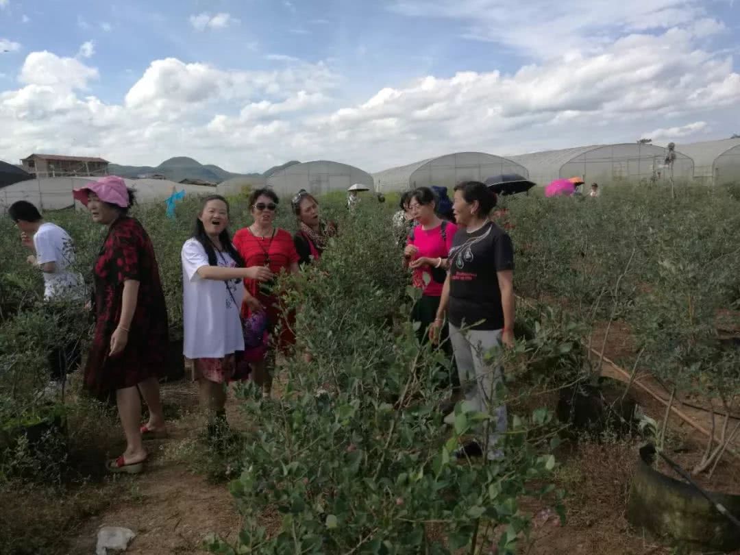 大理首发团乘昆楚大高铁昨日抵达普者黑