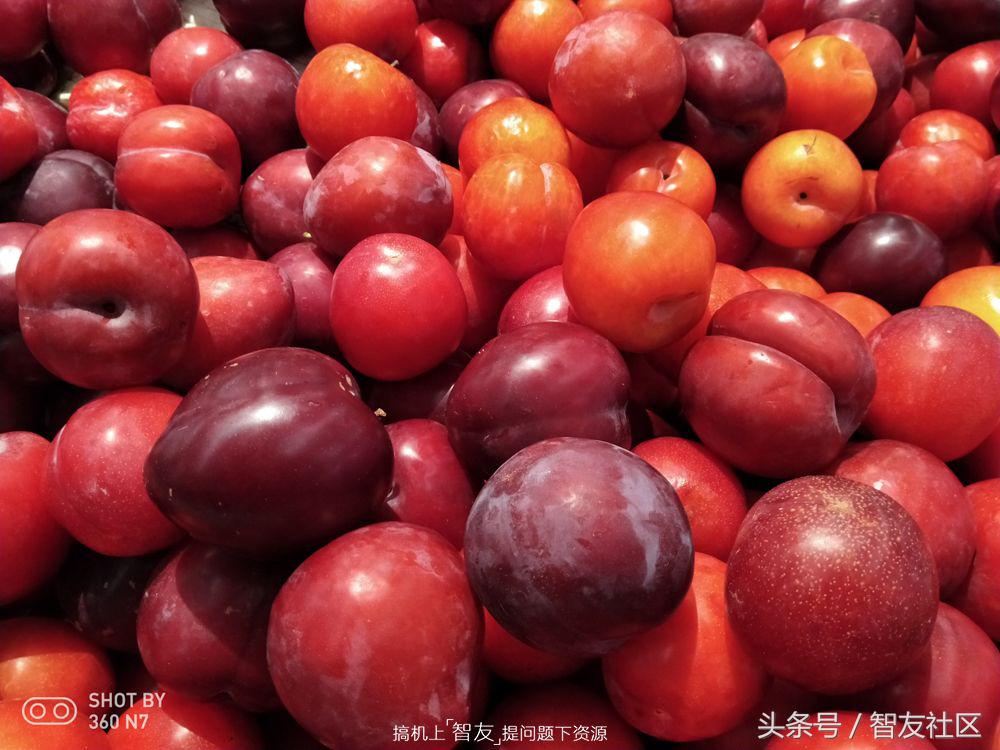 360n7可以刷什么系统,360n7系统是什么版本