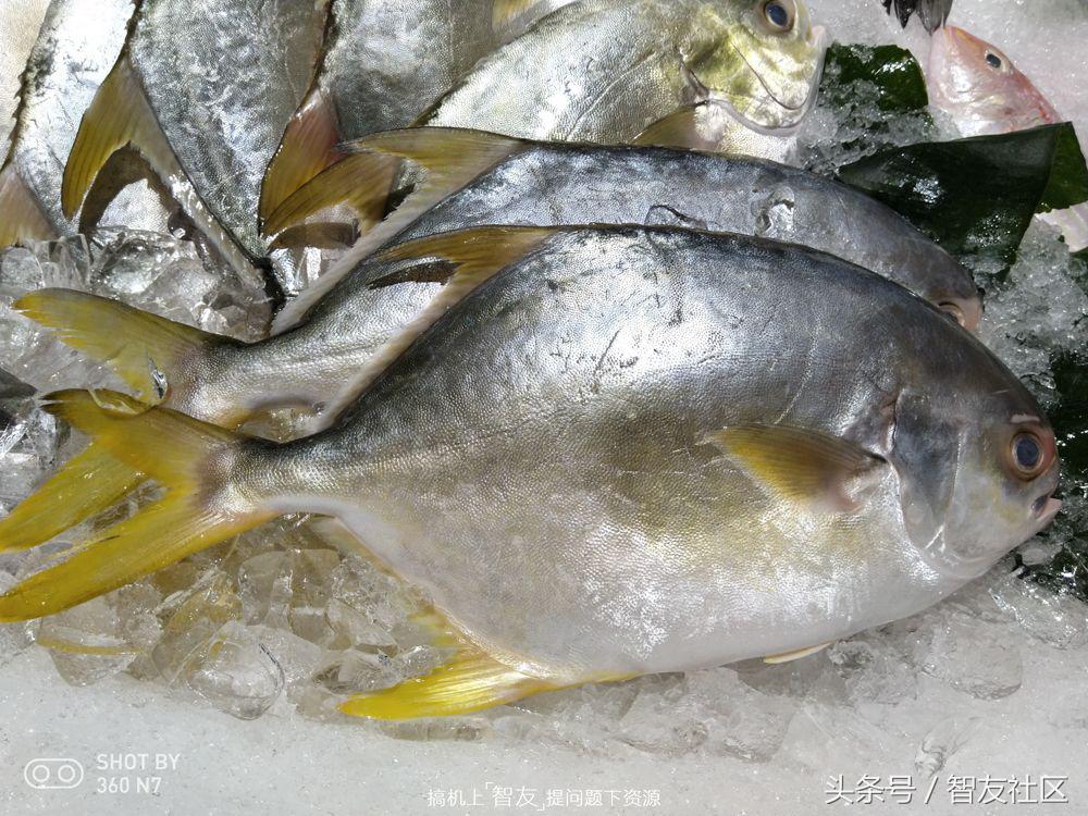 360n7可以刷什么系统,360n7系统是什么版本