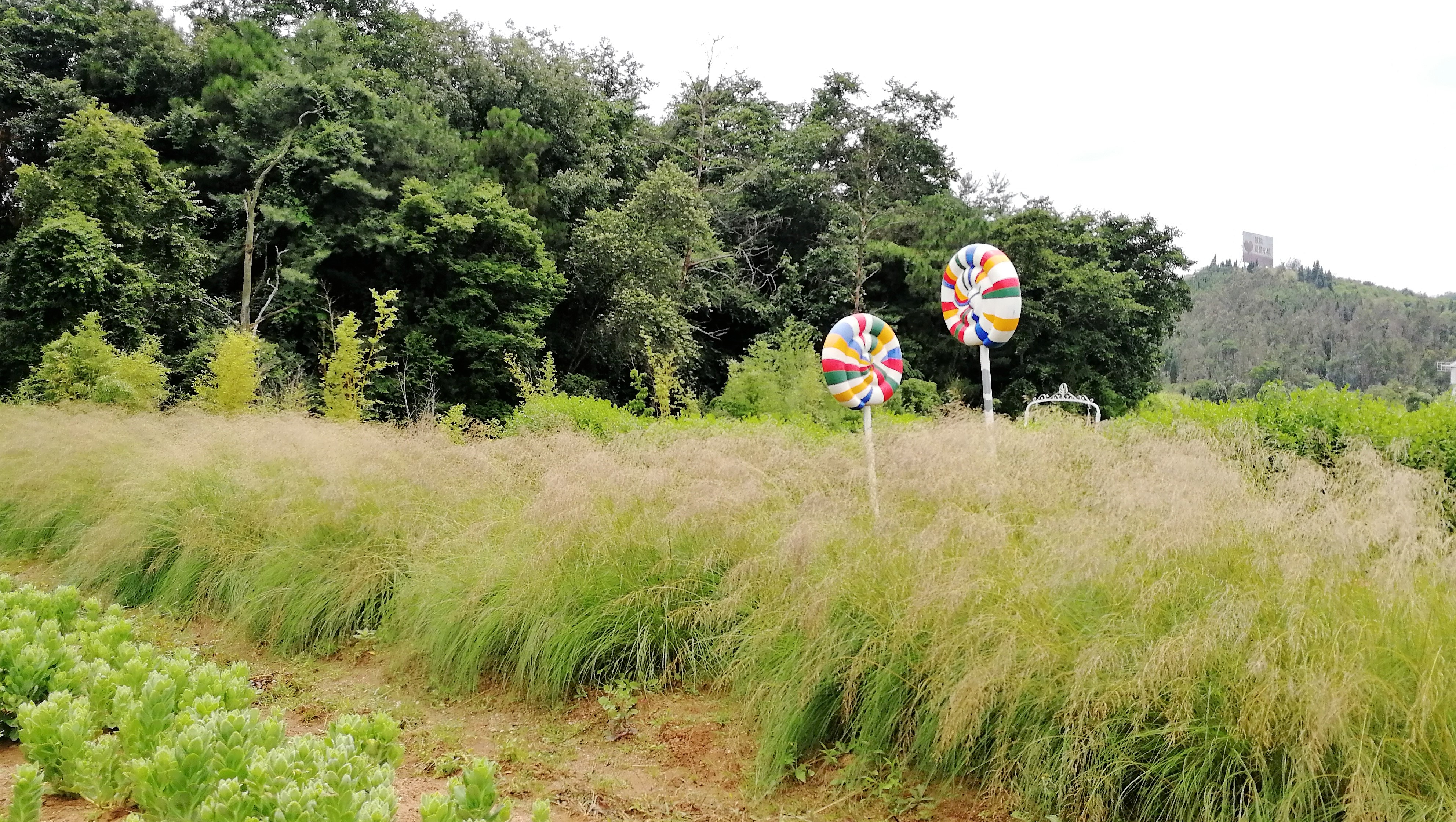 看花海，泡温泉，吃美食，这样的度假风你爱不爱？