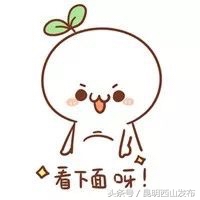 量体裁衣如何报名,量体裁衣高考