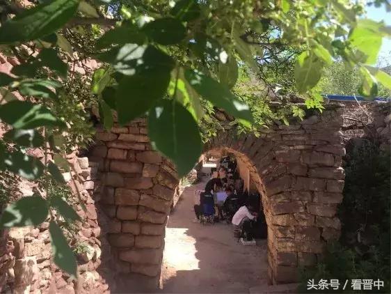 情系职中（杨保卫）