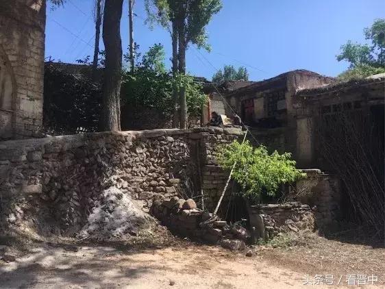 情系职中（杨保卫）