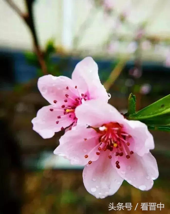 情系职中（杨保卫）