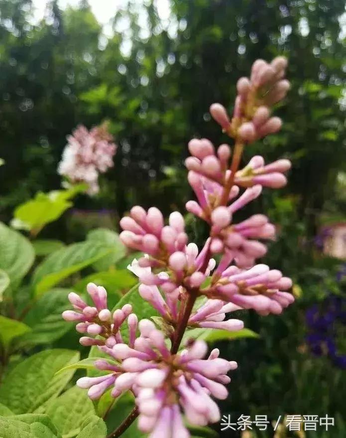 情系职中（杨保卫）