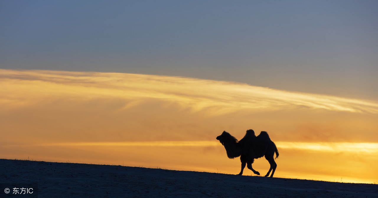 人生哲理小故事100字及感悟,26个有趣的哲理小故事