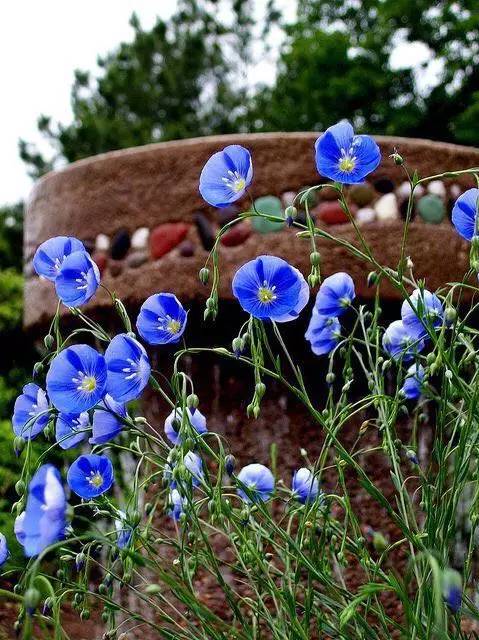 推荐｜隔壁老王看完这篇文章，默默扔掉了家里的假亚麻床单