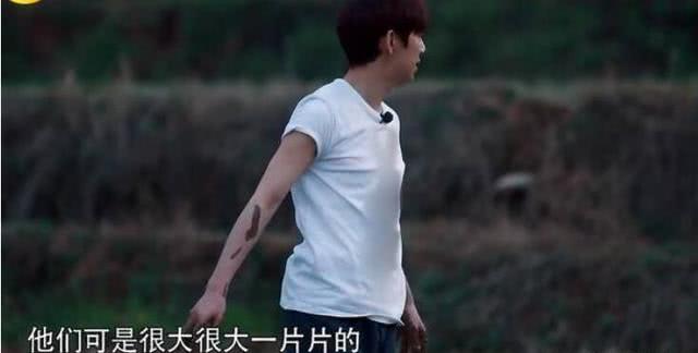 何炅和baby,何炅穿姚明衣服