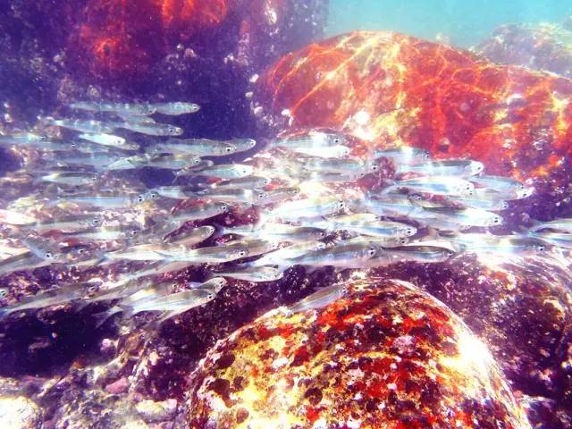 香港旅游购物攻略小众,香港小众攻略