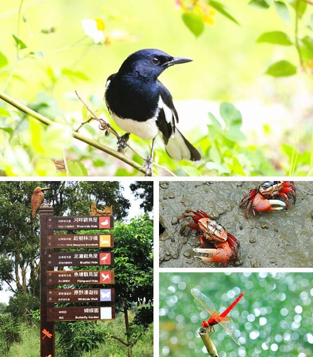 香港旅游购物攻略小众,香港小众攻略