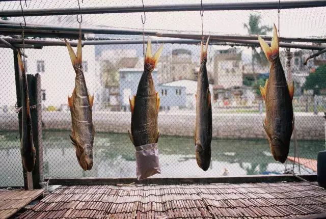香港旅游购物攻略小众,香港小众攻略