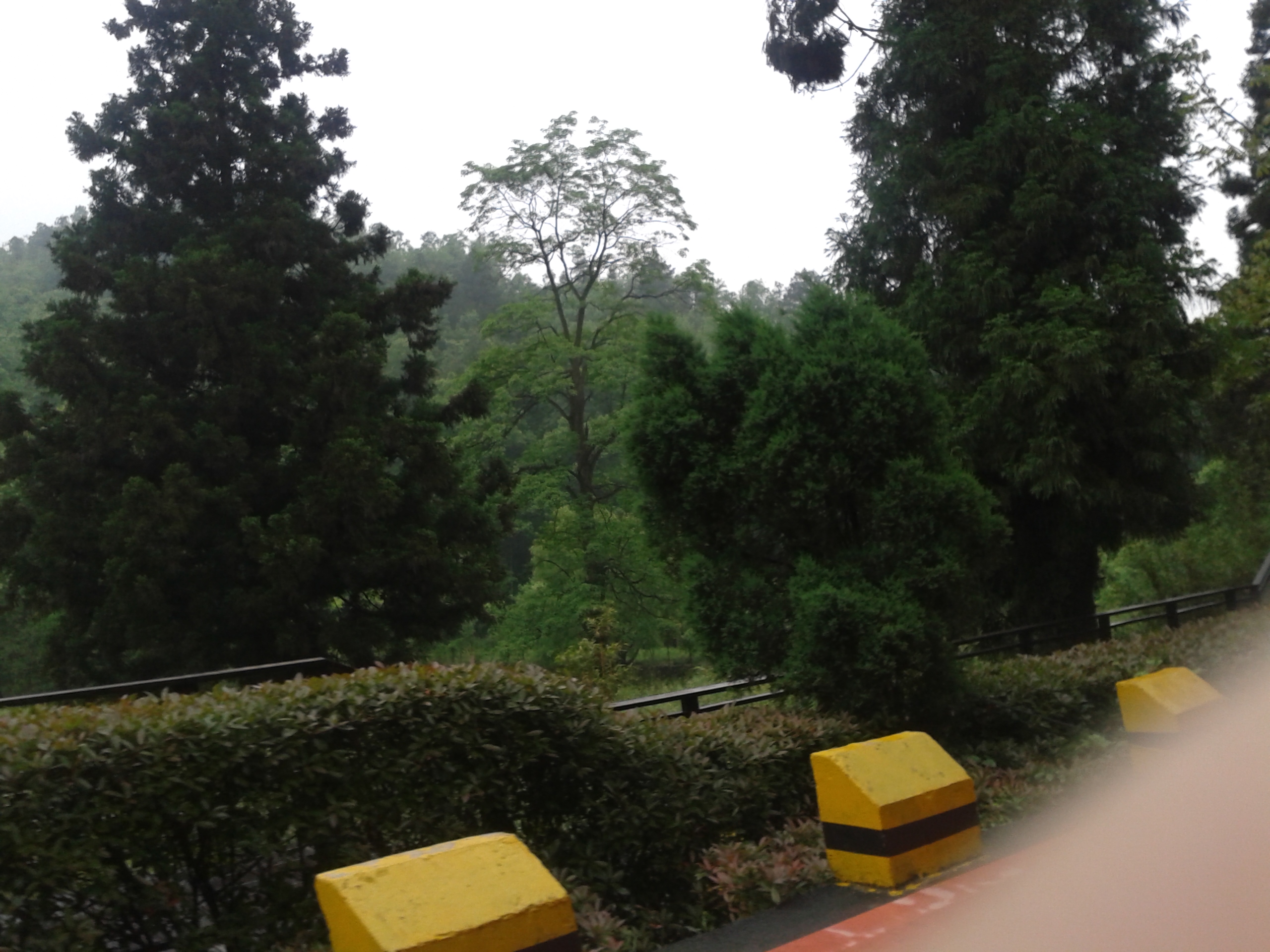 阿哈湖有什么景点,阿哈湖风景区