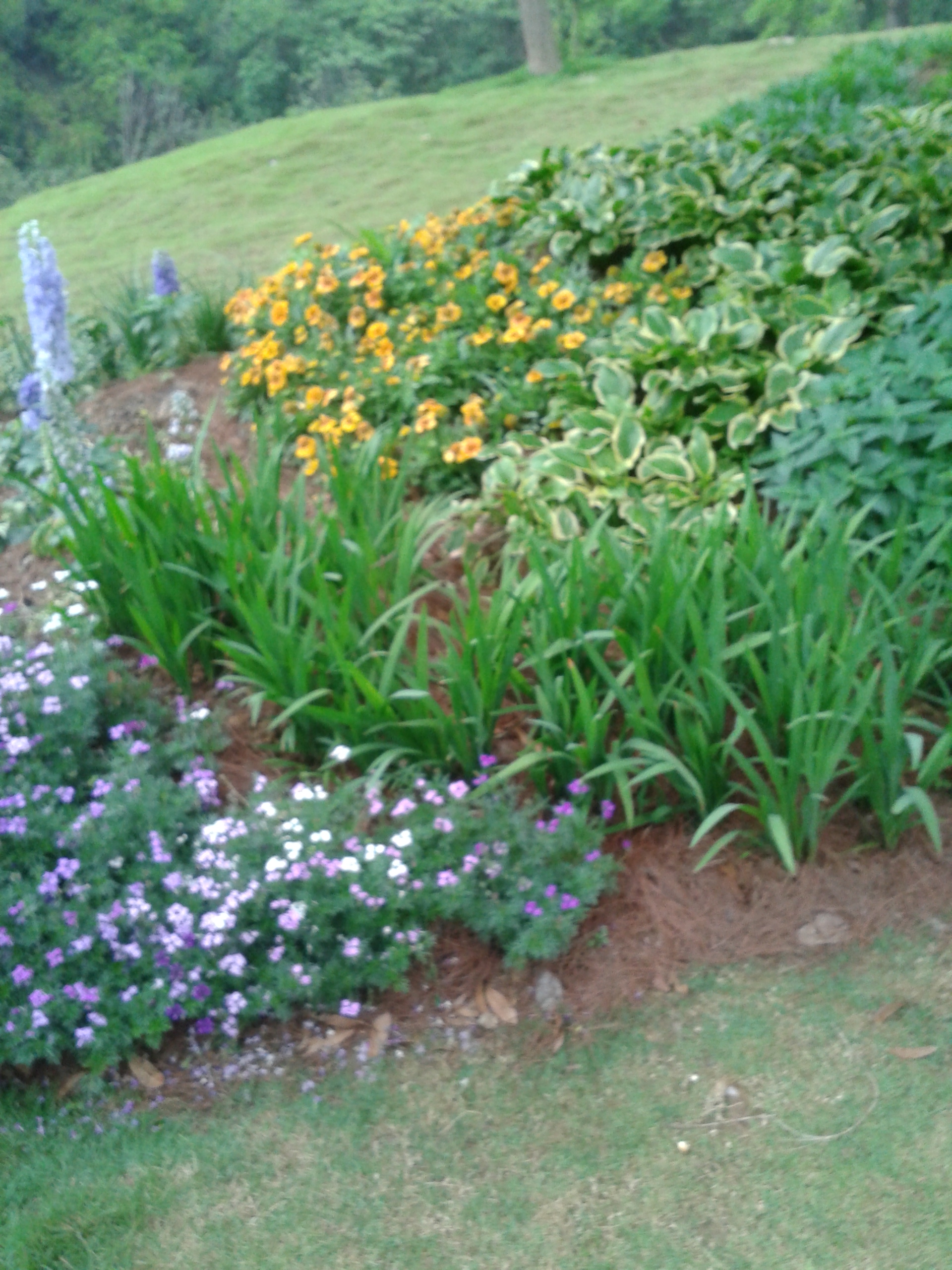 阿哈湖有什么景点,阿哈湖风景区