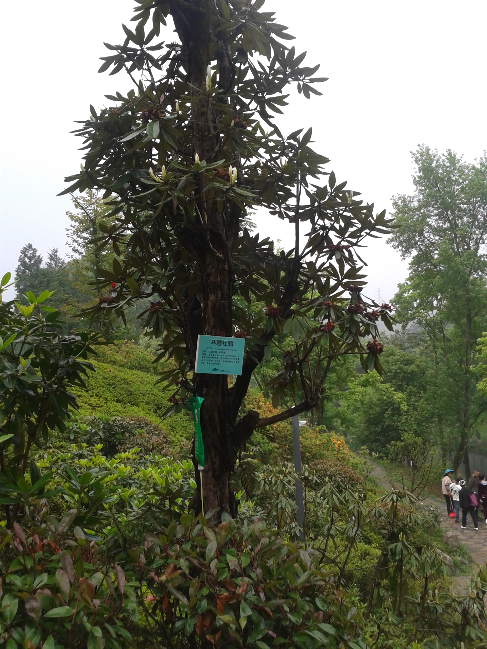阿哈湖有什么景点,阿哈湖风景区