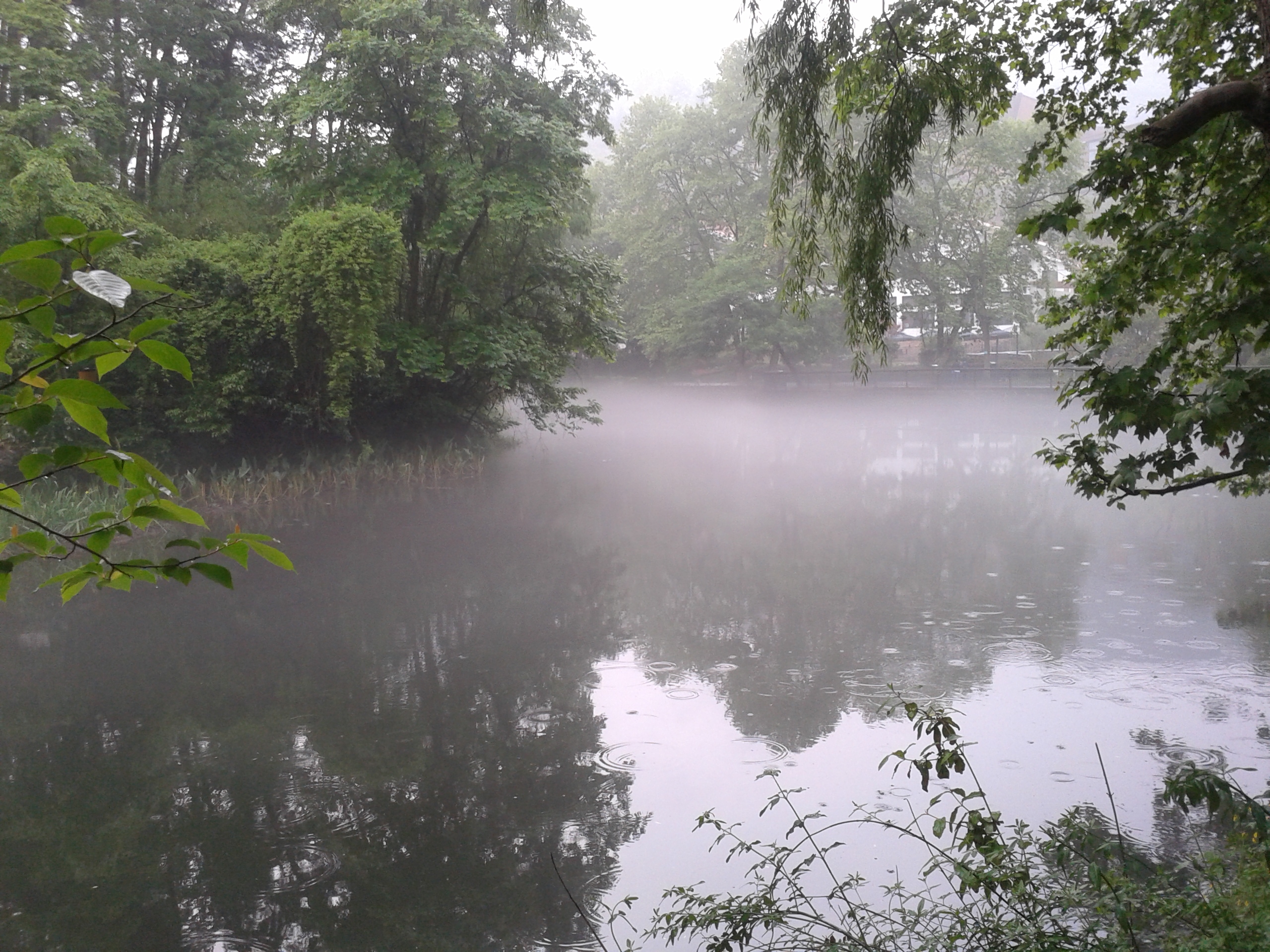 阿哈湖有什么景点,阿哈湖风景区