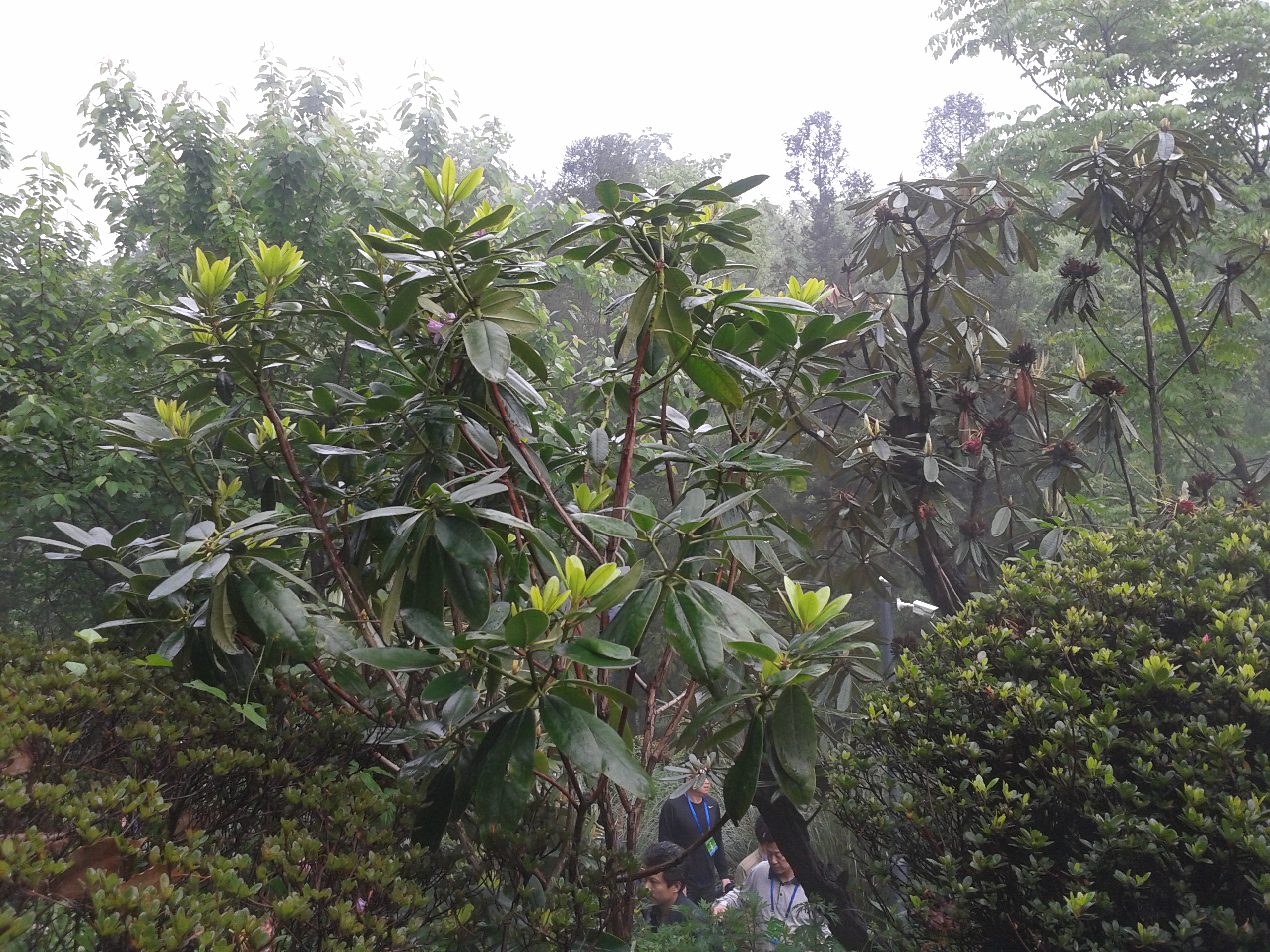 阿哈湖有什么景点,阿哈湖风景区