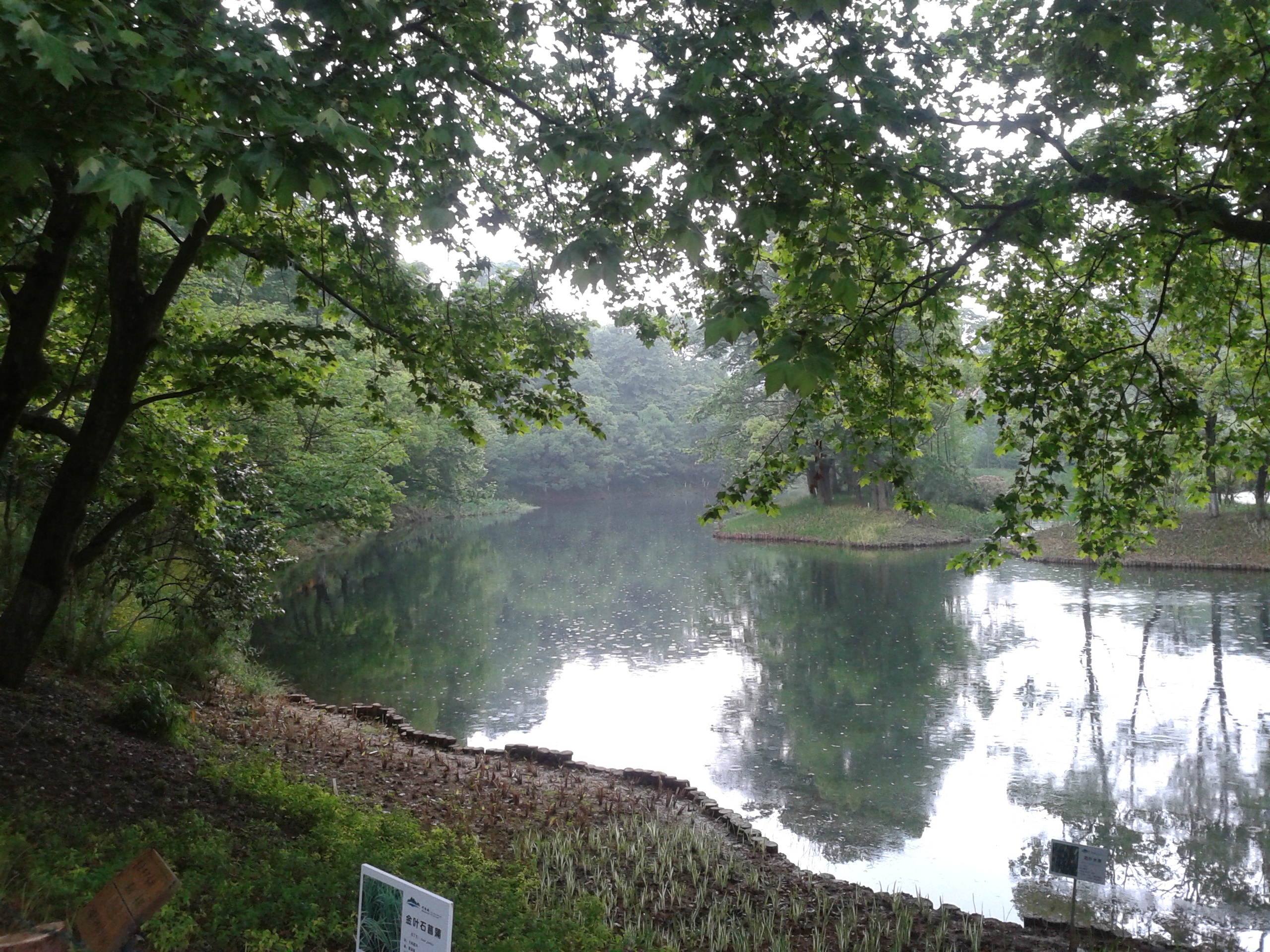 阿哈湖有什么景点,阿哈湖风景区